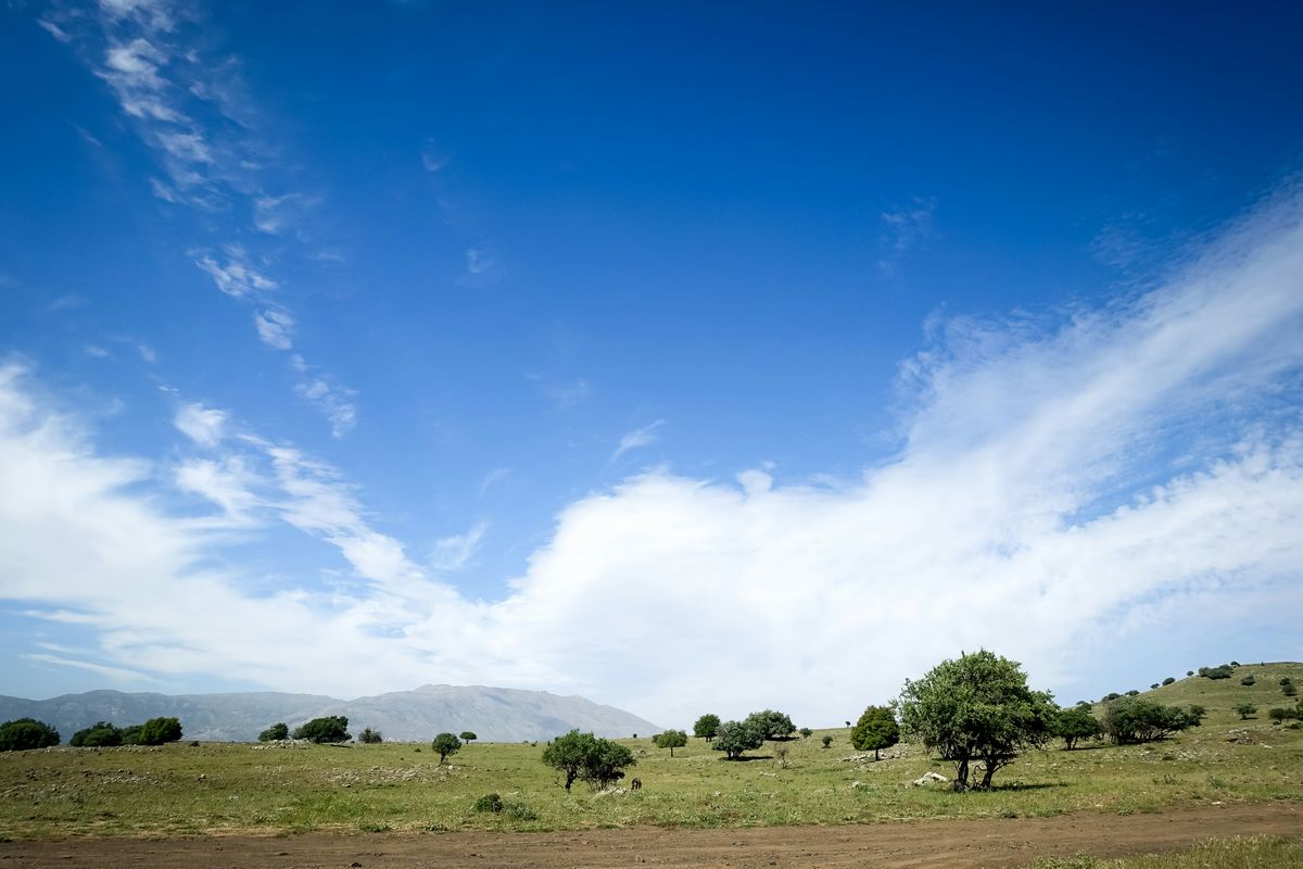 JADAM's Digital Presence: A Hub for Organic Farming Innovation