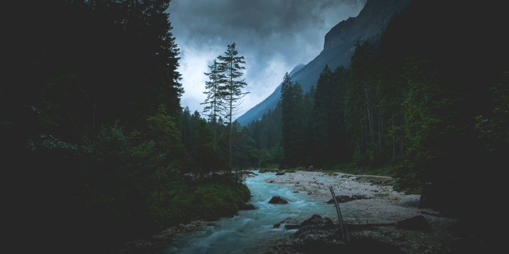flowing river between tall trees