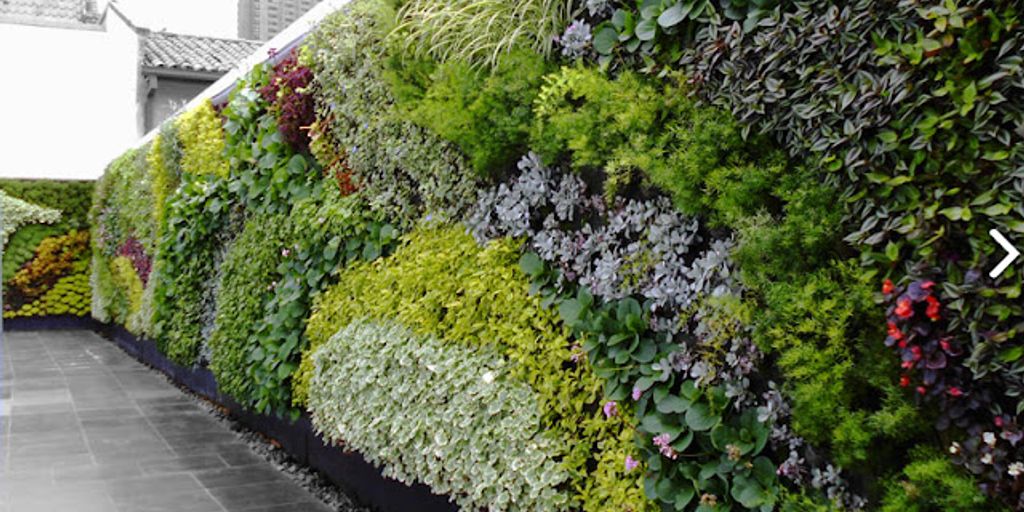 vertical garden with hydroponic system