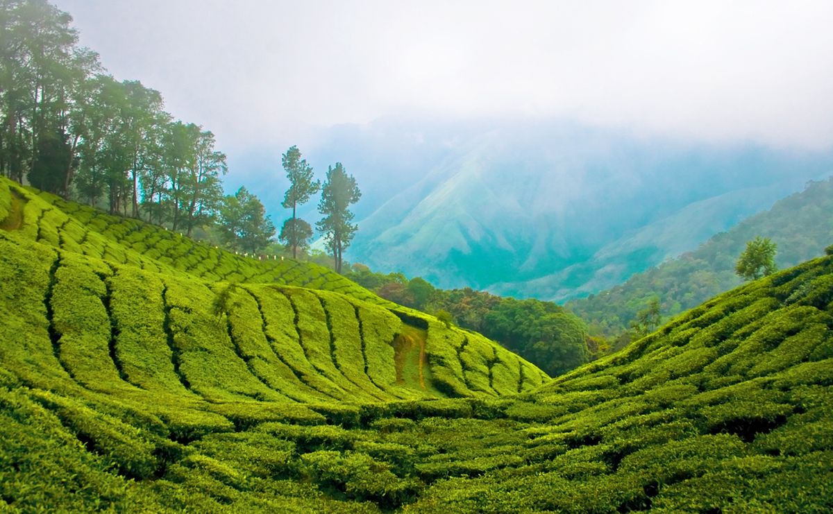 9. Kerala