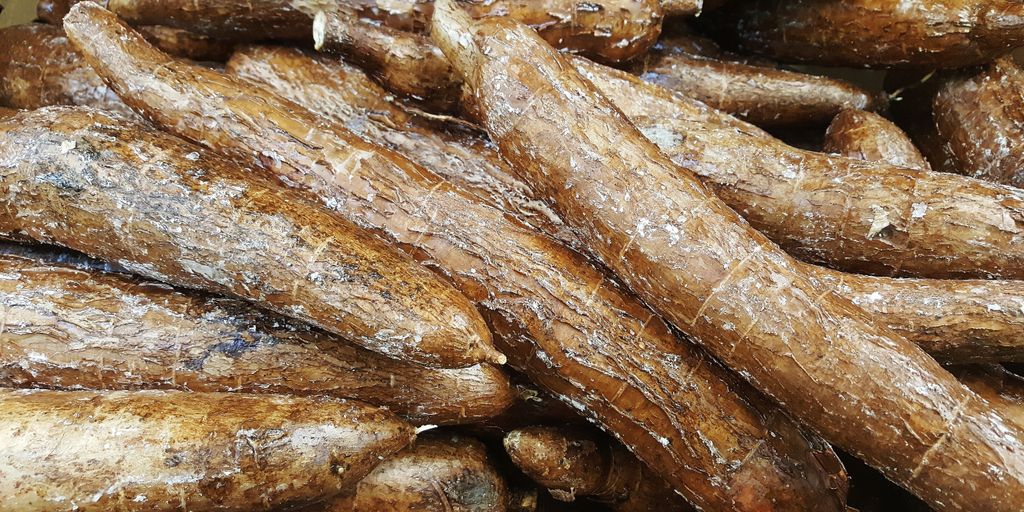 swimmer eating complex carbohydrates