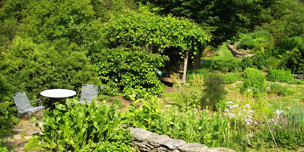 home herb garden with fresh herbs and creative uses