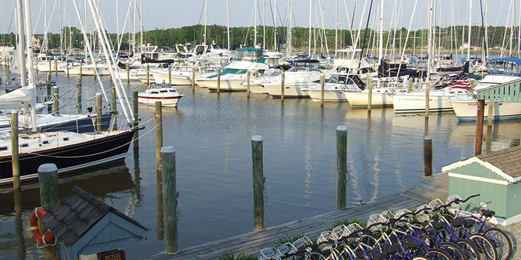 people enjoying outdoor sports and recreation in Chesapeake parks