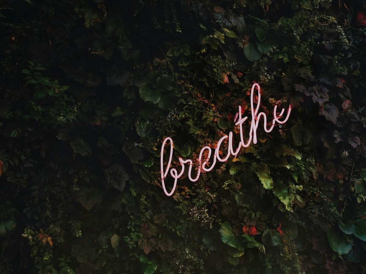 Breathe neon signage