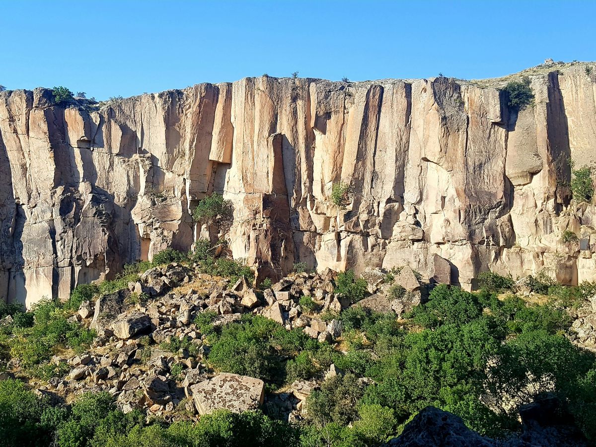a rocky cliff with trees