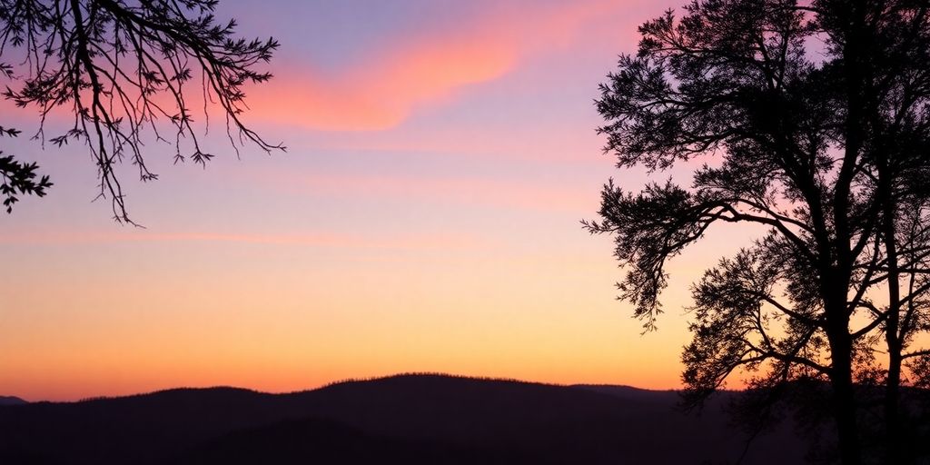 Silhouette of trees and hills at sunset.