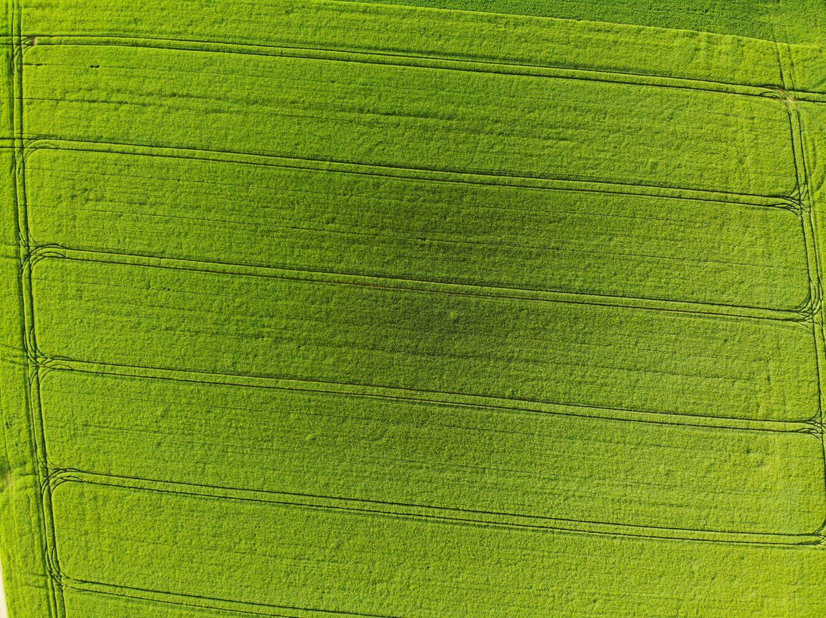 The JADAM Juggernaut: A Legacy of Organic Excellence